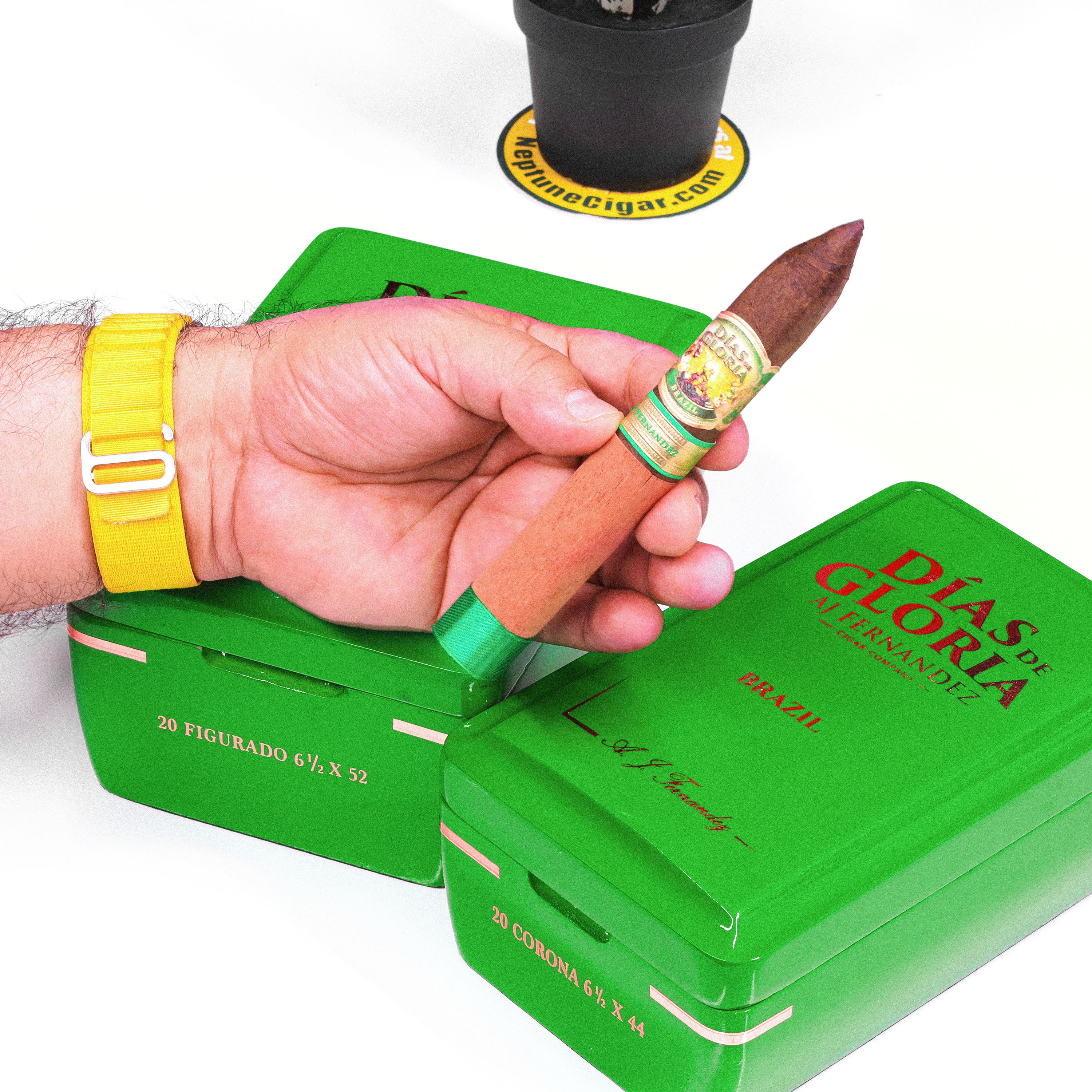 AJ Fernandez Dias de Gloria Brazil Corona 6"1/2 * 44