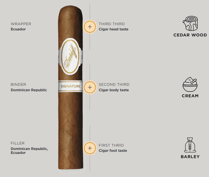 Davidoff Signature 6000
